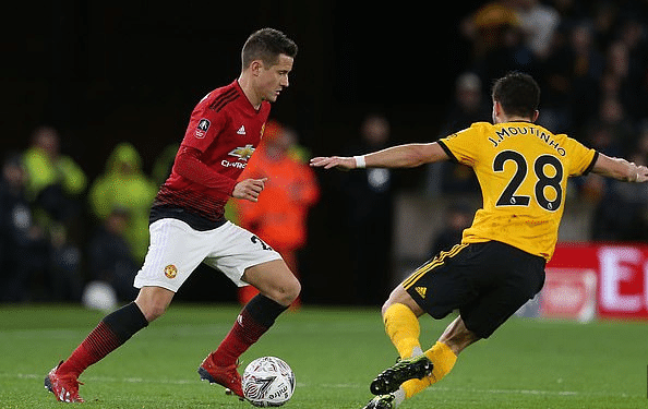 已不再是纯 已不再是纯